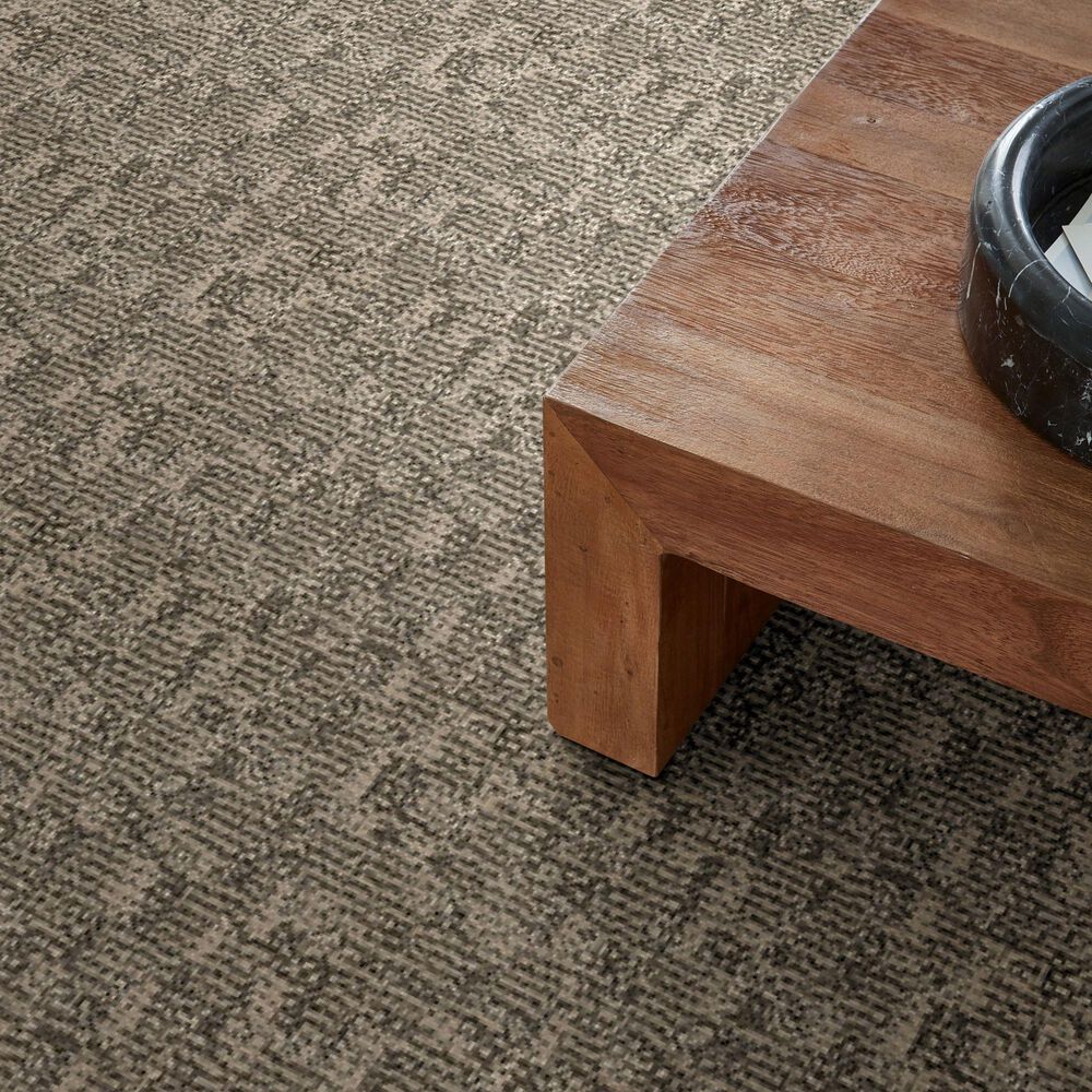 Anderson Tuftex Paw-Tay Carpet in Danville, , large