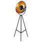 Lite Source Gothard Floor Lamp in Black, , large