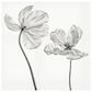Timberlake Lotte Gronkjar "Same Tulip : Front- And Back View" 24" x 24" Canvas Art, , large