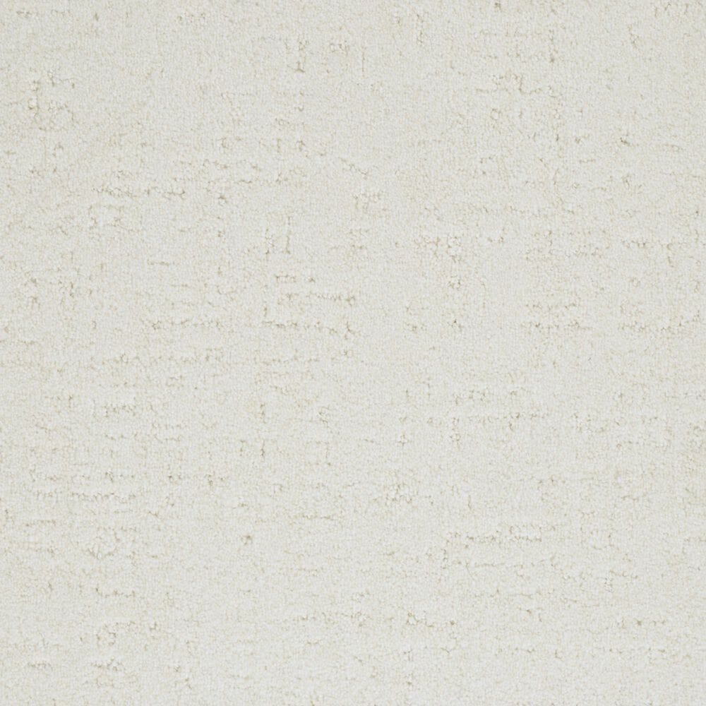 Dixie Home Genuine Carpet in Honorable, , large