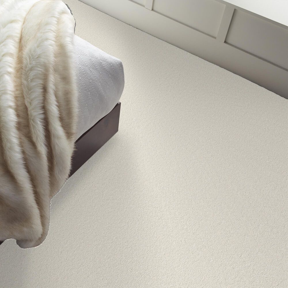 Philadelphia Champagne Taste II Carpet in Snowfall, , large