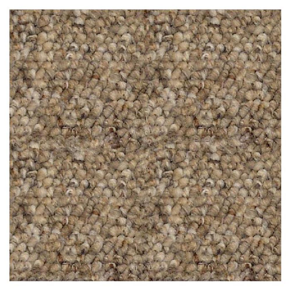 Shaw Parade Of Champions II Carpet in Wheatfields Nebraska Furniture Mart