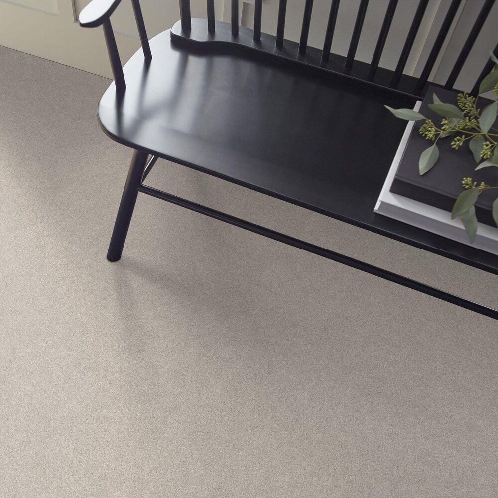 Shaw Harmonious III Carpet in Gallery Open, , large