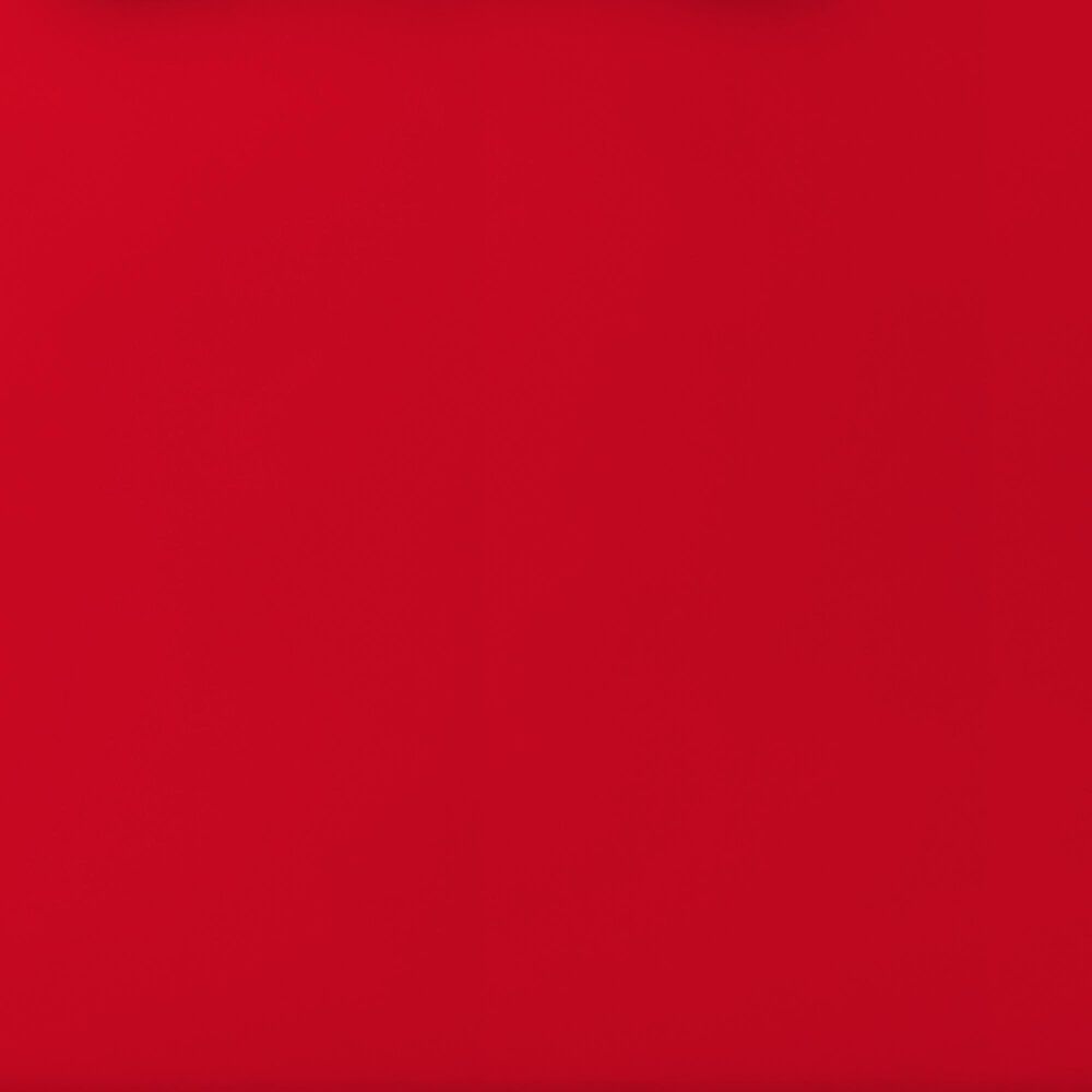 YETI LoadOut GoBox 1 Gear Case in Rescue Red, , large