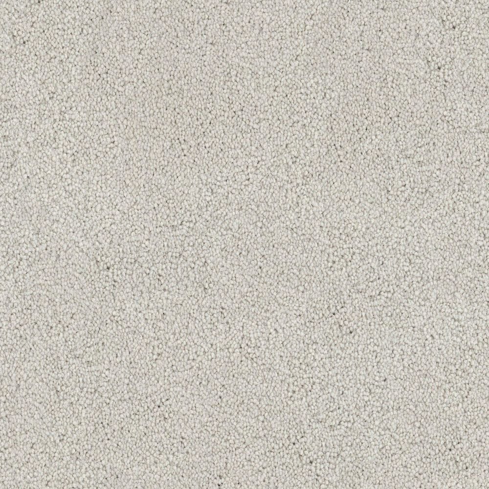 Fabrica Tribute Carpet in Canberra, , large