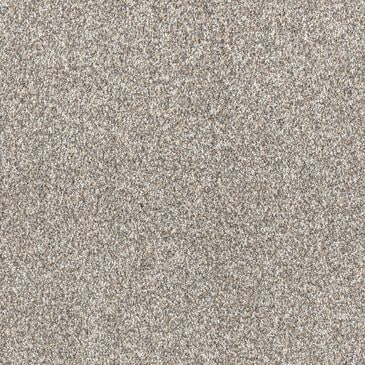Dream Weaver Affinity IV Carpet in Classy, , large