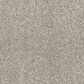 Dream Weaver Affinity IV Carpet in Classy, , large
