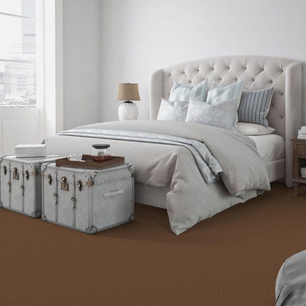 Dixie Home Galliard Carpet in Dormer, , large