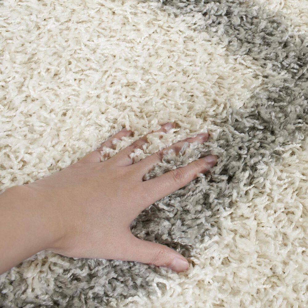 Safavieh Dallas Shag SGD258F-10 10&#39; x 14&#39; Ivory/Grey Area Rug, , large