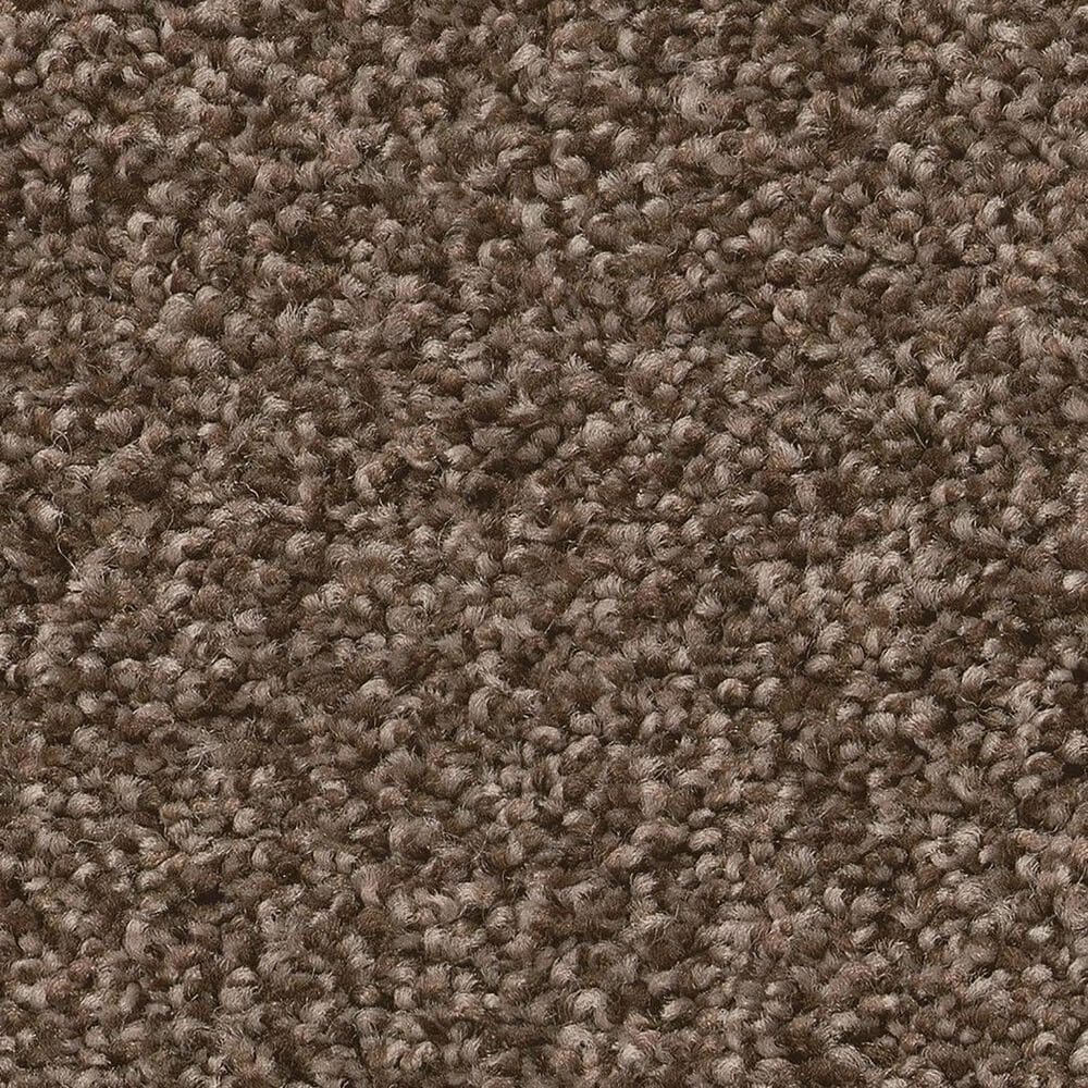 Shaw Tonal Comfort I Carpet in Cliff Hiking, , large