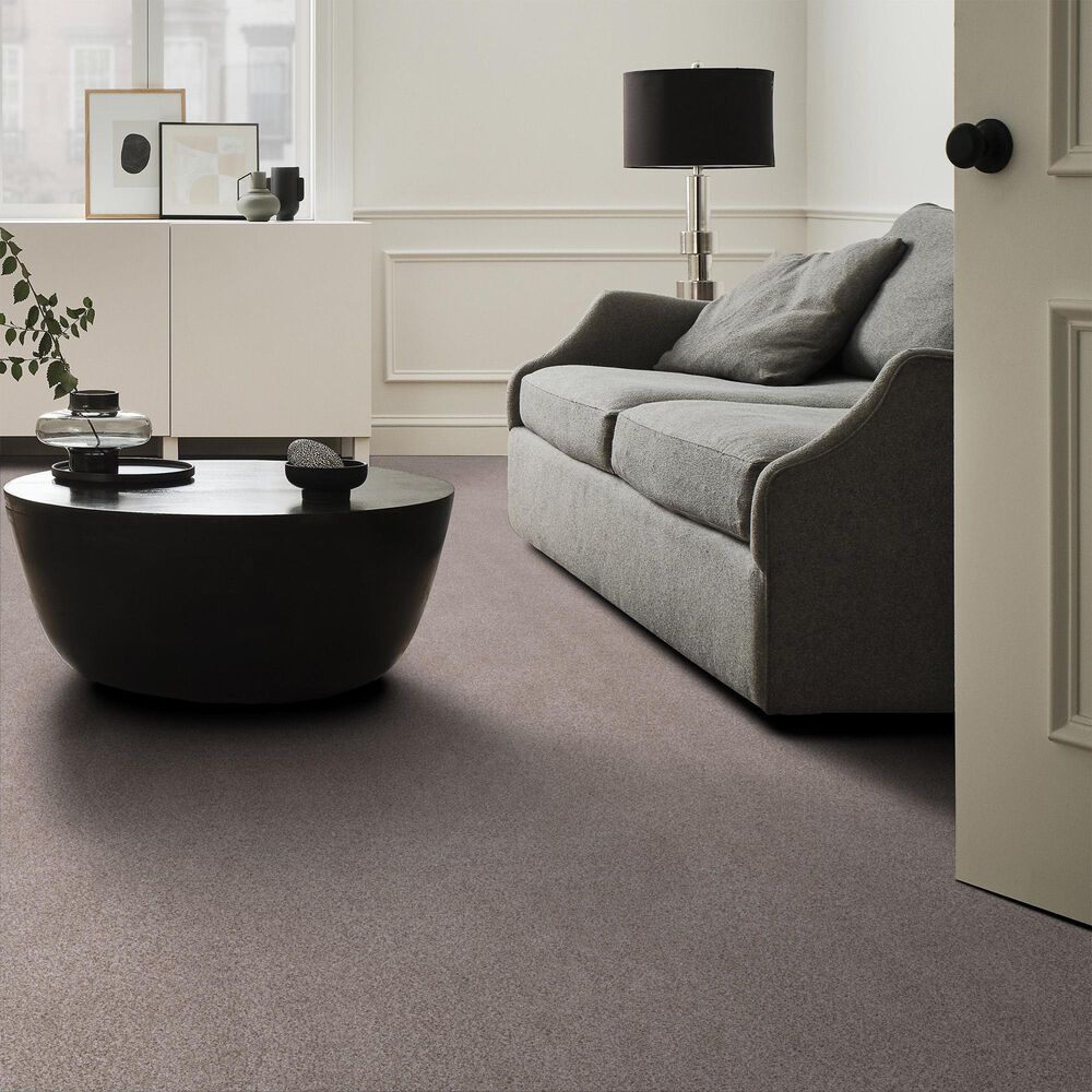 Anderson Tuftex Sumptuous II Carpet in Patio Stone, , large