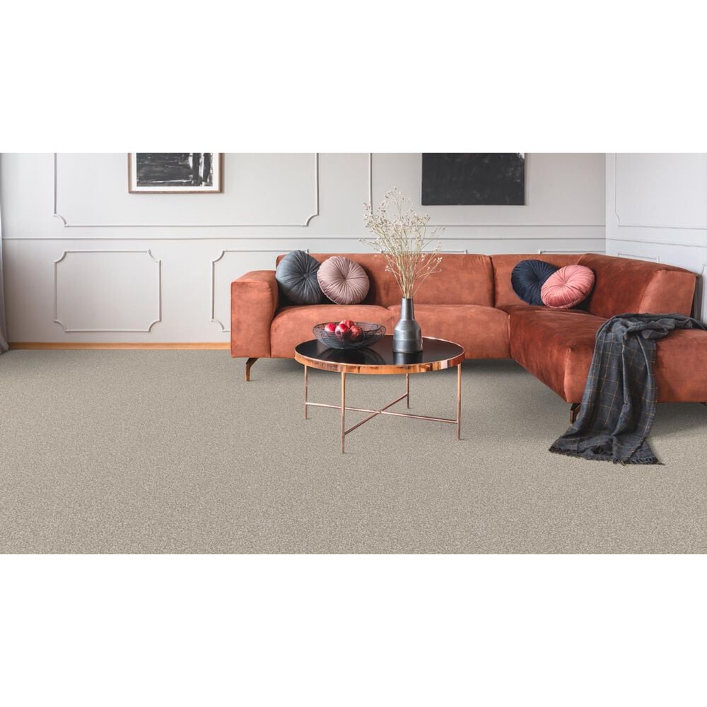 Dixie Home Bella Carpet in Sheltie, , large