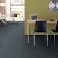 Anderson Tuftex Nomad Carpet in Stratton, , large