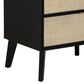 Linon Home Decor Collett 2-Drawer Nightstand in Black, , large
