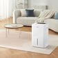 Amana 50-Pint Dehumidifier with Pump in White, , large