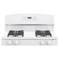 GE Appliances 4.8 Cu. Ft. Freestanding Gas Range in White, , large