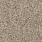 Shaw Grand Outlook Carpet in Natural, , large