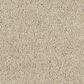 Anderson Tuftex Barracan Classic IV Carpet in Gentle Doe, , large