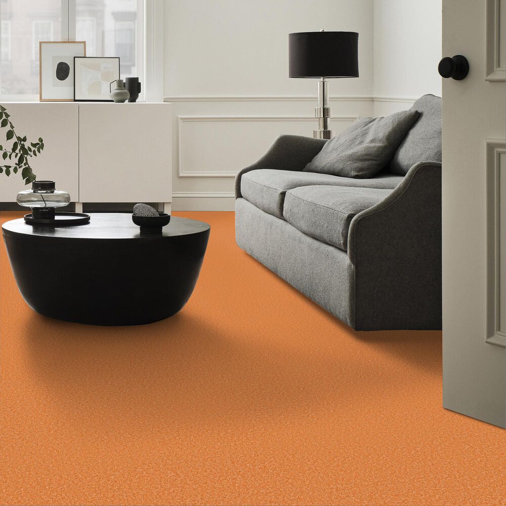 Shaw The Bright Side Carpet in Orange You Glad, , large