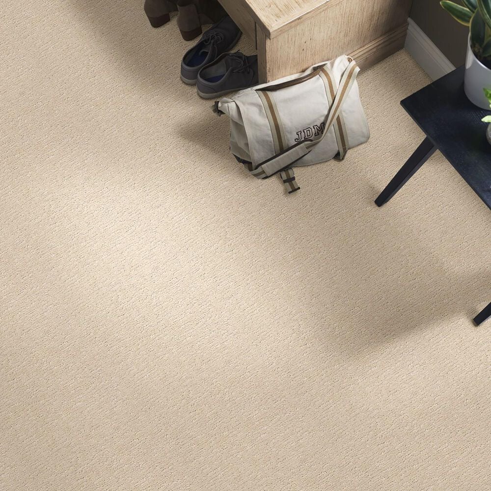 Anderson Tuftex Contour Carpet in Morning Light, , large