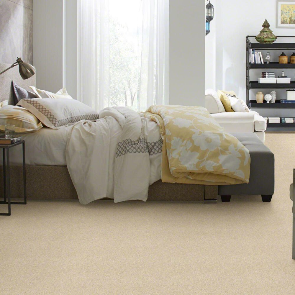 Philadelphia Basic Rules Carpet in Eggshell, , large