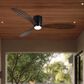 Minka-Aire Ventiara 52" LED Flush Mount Indoor/Outdoor Ceiling Fan in Coal, , large