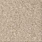 Shaw Comforting I Carpet in Mesa, , large
