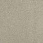 Anderson Tuftex Barracan Classic II Carpet in Spruce, , large