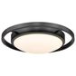 Golden Lighting 13.5" Astra Flush Mount in Matte Black, , large