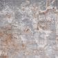 Safavieh Aston 4" x 6" Grey and Rust Area Rug, , large