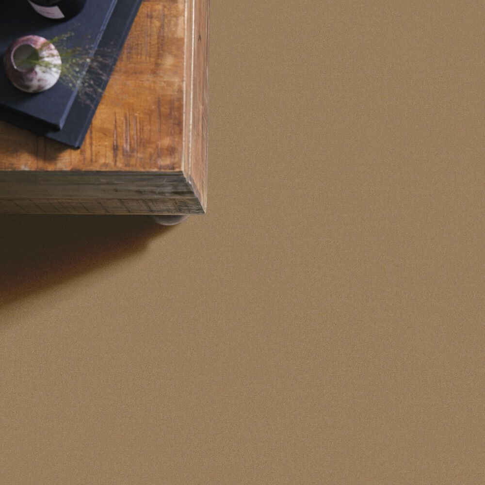 Anderson Tuftex Finery Carpet in Amber Wave, , large