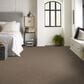 Shaw Yes You Can I Carpet in Honeycomb, , large