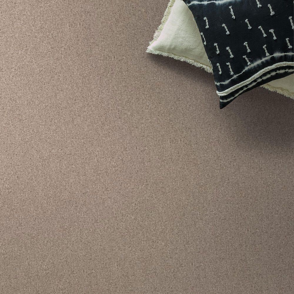 Shaw Live On Comfort Carpet in Palm Desert, , large