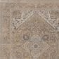 Feizy Celene 7"9" x 10" Beige and Brown Area Rug, , large