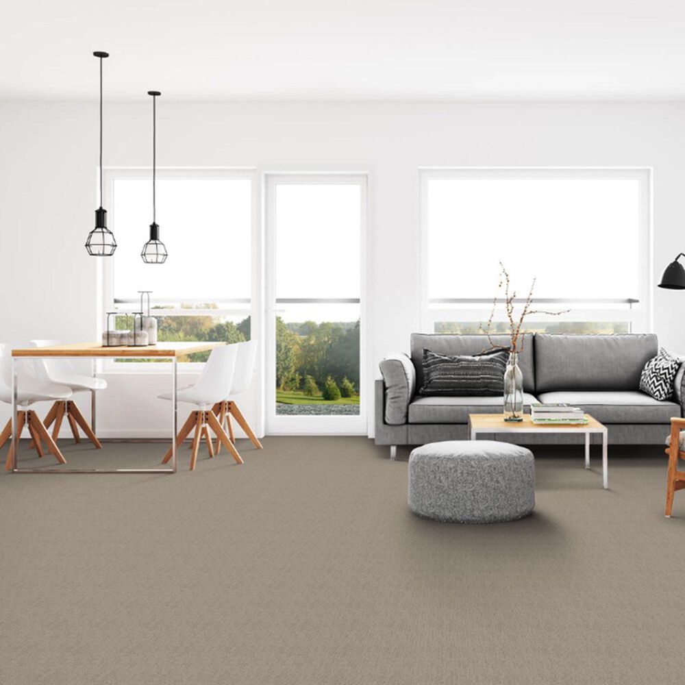 Dixie Home Worthington Carpet in Burnish, , large