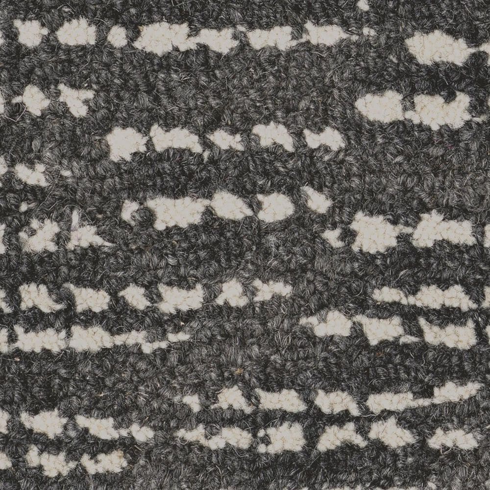 Anderson Tuftex Curator Carpet in Butler, , large