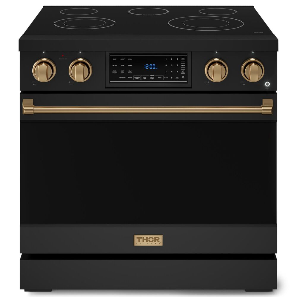 Thor Kitchen Gordon Ramsay 6 Cu. Ft. 36" Professional Electric Range with Bronze Handle Kit in Black, , large