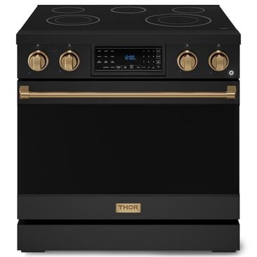 Thor Kitchen Gordon Ramsay 6 Cu. Ft. 36" Professional Electric Range with Bronze Handle Kit in Black, , large