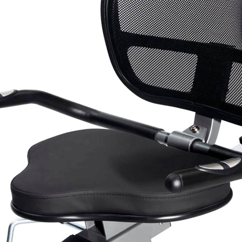 Sunny Health &amp; Fitness Performance Elite Magnetic Recumbent Elliptical Cross Trainer in Gray, , large