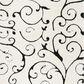 Safavieh Florida Shag SG455-1290-3 3"3" x 5"3" Ivory/Black Area Rug, , large
