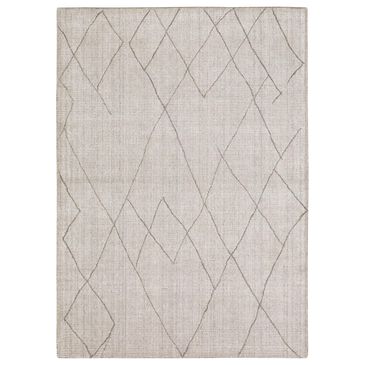 Karastan Tangier RG187-620 9" x 12" Tribal Diamond Silver Area Rug, , large