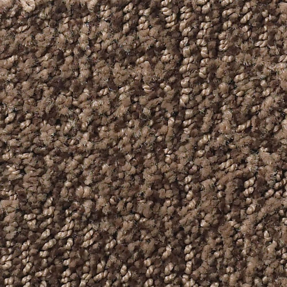 Anderson Tuftex Ario Carpet in Fallen Timber, , large
