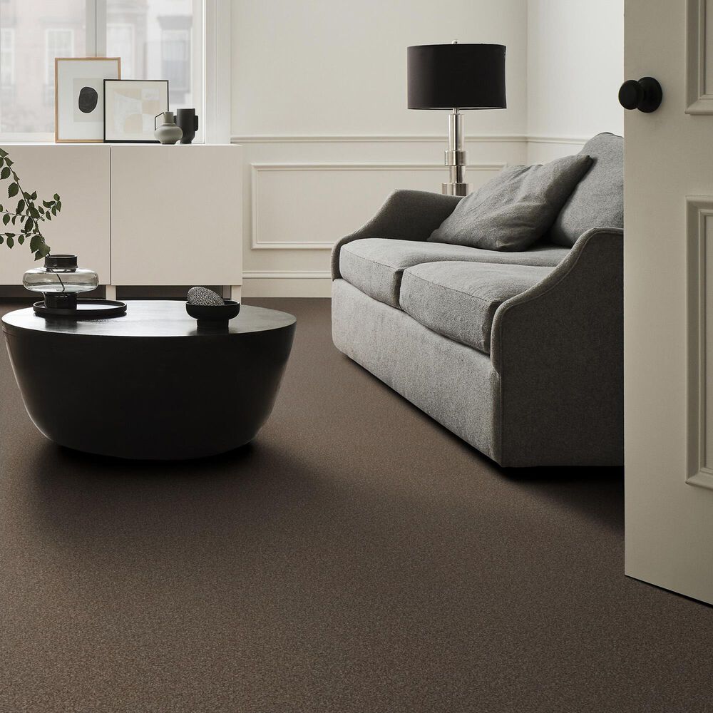 Shaw Truspirit Ii Carpet in Chestnut, , large