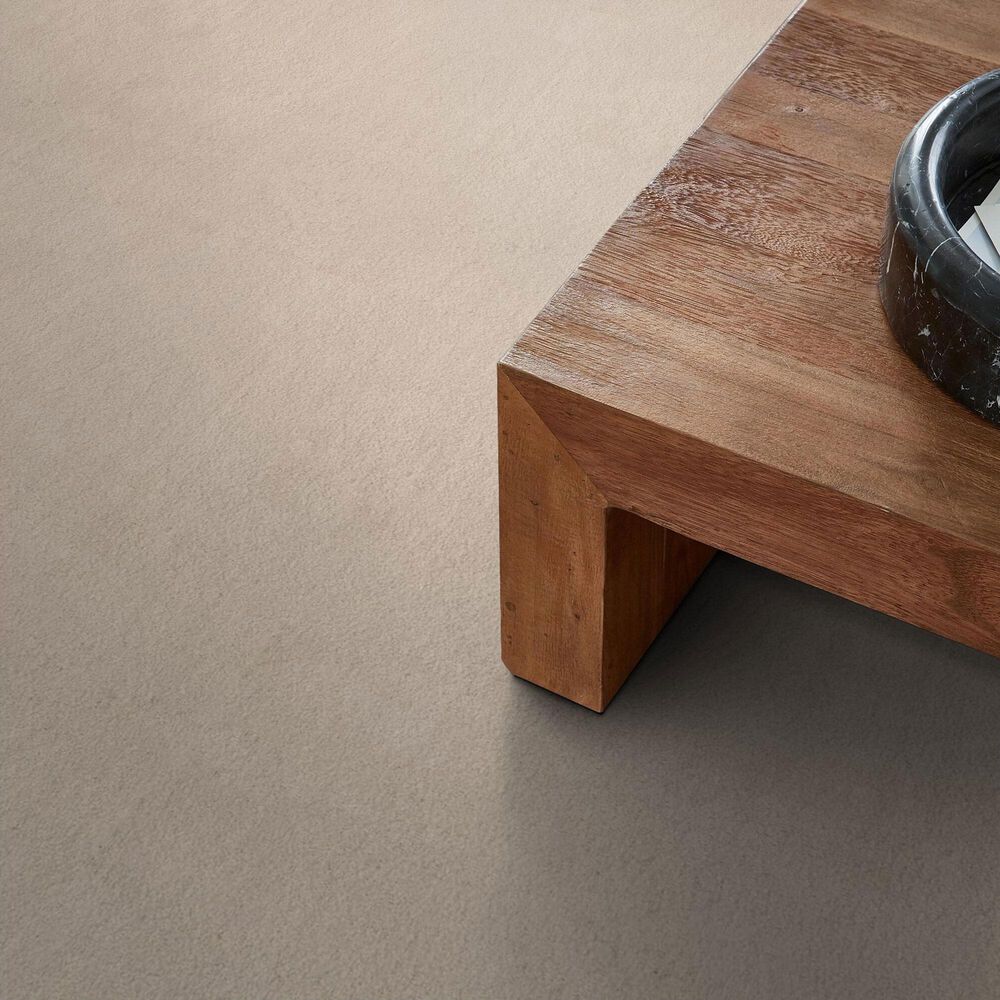 Anderson Tuftex Luxe Feel I Carpet in Heirloom, , large