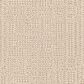 Fabrica Occasion Carpet in Celebration, , large