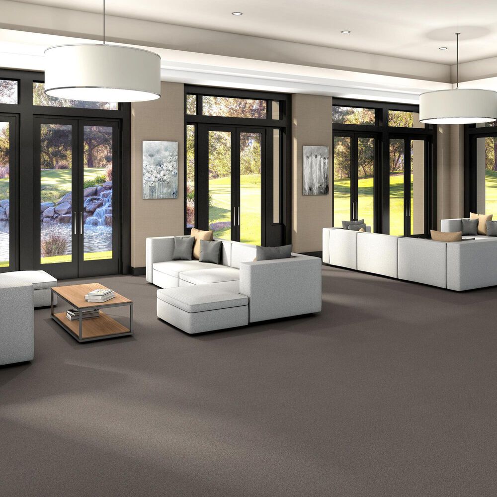 Shaw Trusplendor Carpet in Concrete, , large