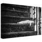 Timberlake Piera Polo "Slow Life" 22" x 32" Canvas Art in Black/Grey/White, , large
