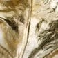 Ashley Darinsen Sculpture in Gold and Silver, , large