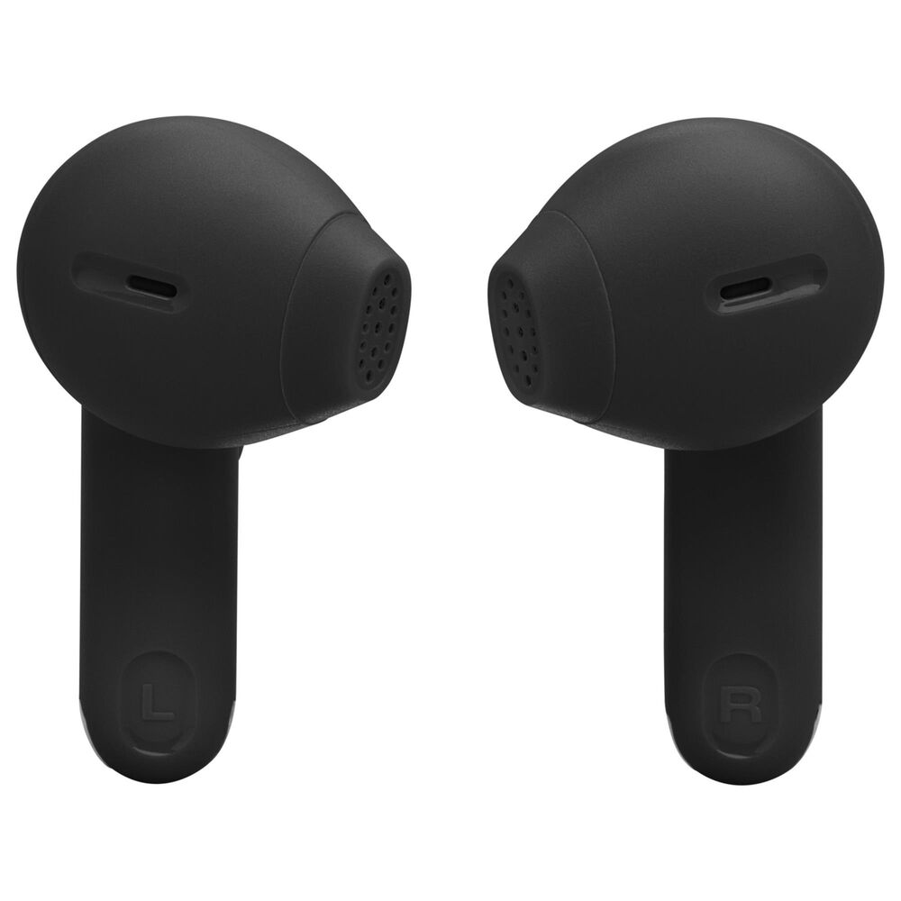 JBL Tune Flex 2 True Wireless Earbuds in Black, , large