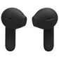 JBL Tune Flex 2 True Wireless Earbuds in Black, , large